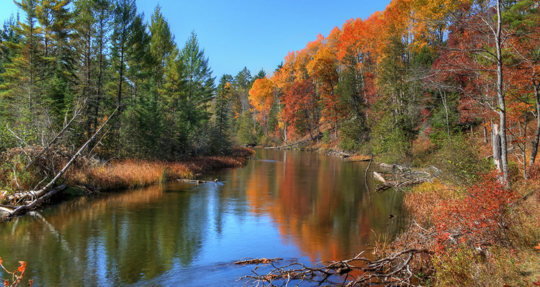 AuSable River at Canoe Harbor