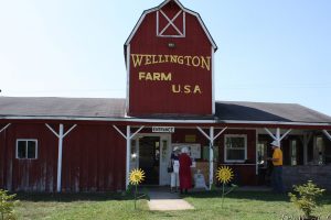 Wellington Farm USA